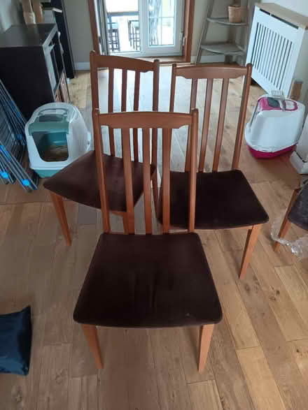 Photo of free Chairs and cat litter (Eh166dd) #1