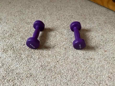 Photo of free Pair of 1kg hand weights (Long Marton CA16) #1