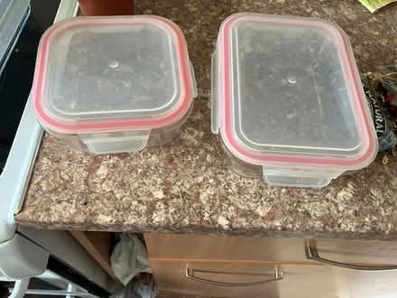 Photo of free Two glass food storage containers (Chilwell NG9) #1