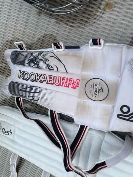 Photo of free Jnr Cricket leg pads/helmet/stumps (Windsor SL4) #1