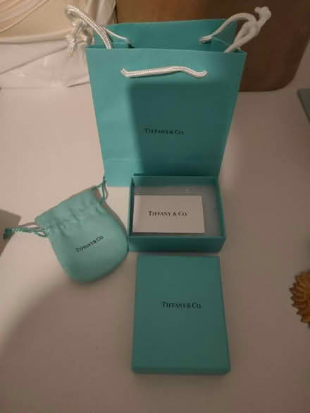 Photo of free Empty Tiffany bag and box (SG6) #1