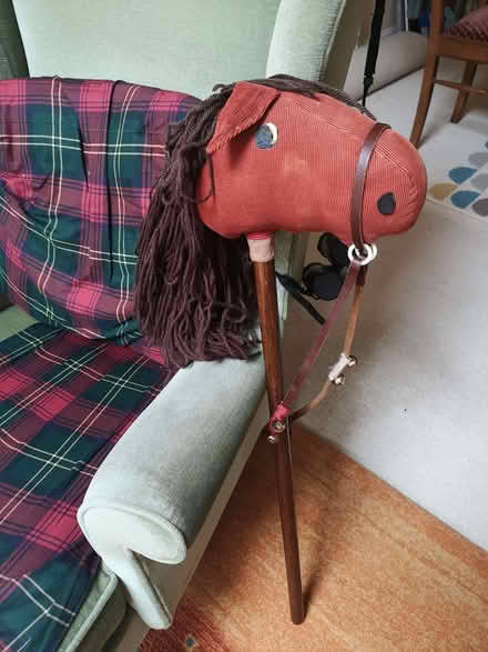 Photo of free Hobby horse (Brincliffe Edge S7) #3