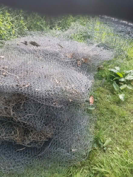 Photo of free 1m wide chicken wire approx 40m (Ley Hill GC HP5) #2