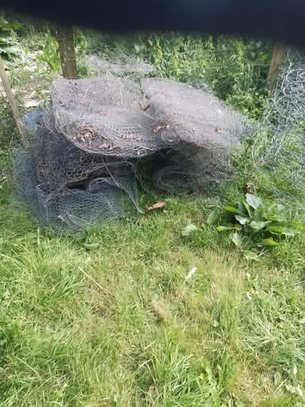 Photo of free 1m wide chicken wire approx 40m (Ley Hill GC HP5) #1