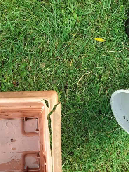 Photo of free Plastic pots (Southport PR8) #3