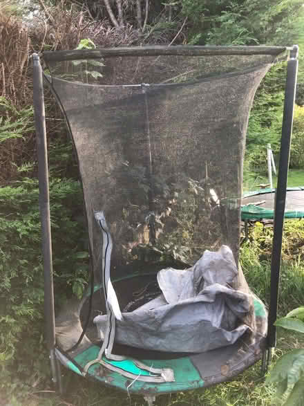 Photo of free Trampoline (Moortown LS17) #1