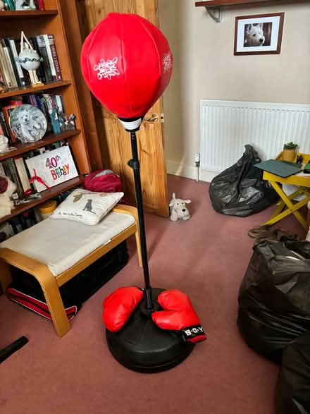 Photo of free Punch ball for exercise. (Newbury Park IG2) #1