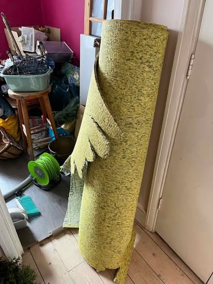 Photo of free Carpet underlay (Philip Lane, N15) #1