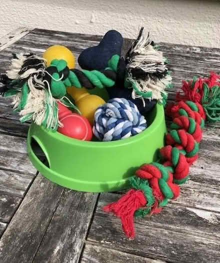 Photo of free Dog bowl and toys (Wheatley OX33) #1