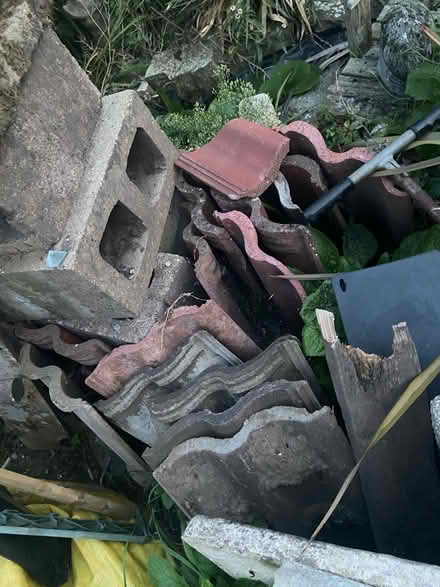 Photo of free Roof tiles (Ingham IP31) #1