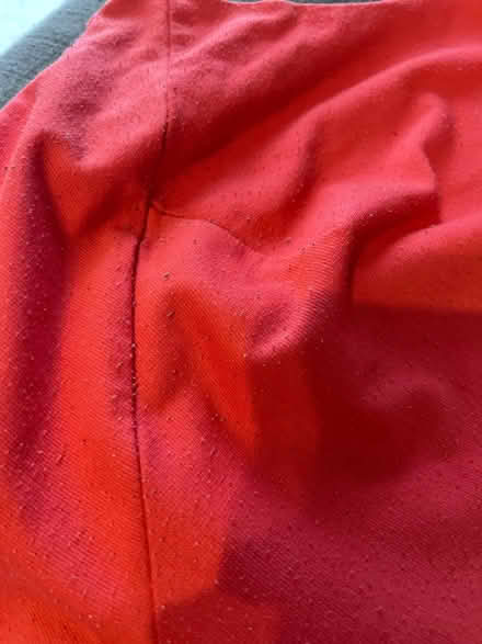 Photo of free Skater dress and thin jumper (Bermondsey SE16) #3