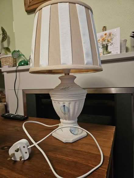 Photo of free Lamp (Kingswood BS15) #1