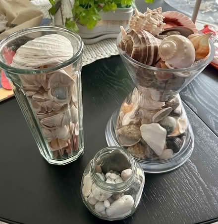 Photo of free Seashells and beach pebbles (Stapleford NG9)