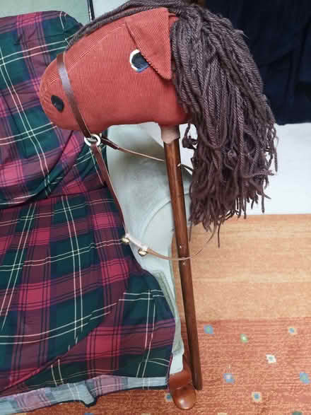 Photo of free Hobby horse (Brincliffe Edge S7) #4