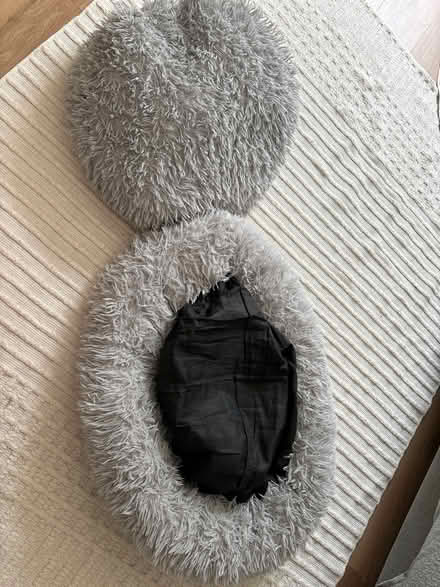 Photo of free Dog bed (Argyle road area W13) #1