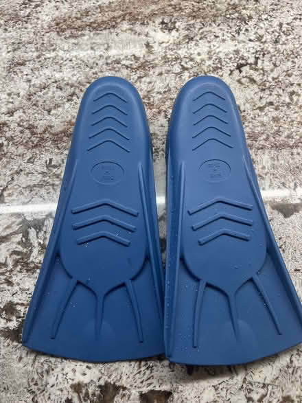 Photo of free Fins (Southwest Oakville) #2