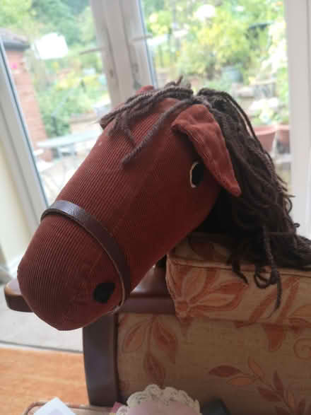 Photo of free Hobby horse (Brincliffe Edge S7) #2