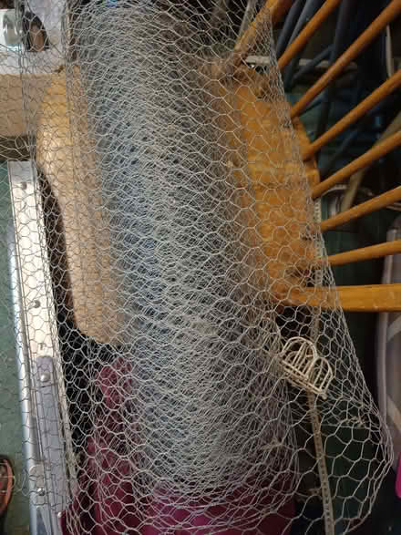 Photo of free Chicken wire (Morley DE21) #1