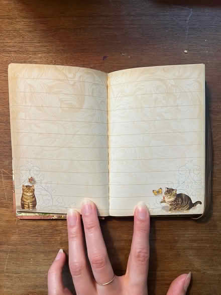 Photo of free Small cat notebook (Spring Hill) #3