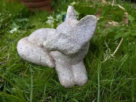 Photo of free Plastic garden fox statue (Didcot) #2