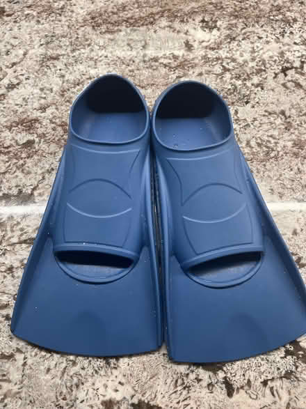 Photo of free Fins (Southwest Oakville) #1