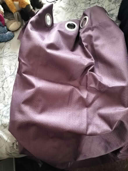 Photo of free Pair of purple curtains (TN37 Hastings) #2
