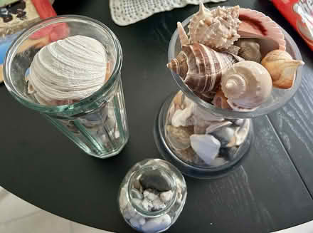 Photo of free Seashells and beach pebbles (Stapleford NG9)