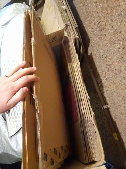 Photo of free Moving boxes (Roslin EH25) #3