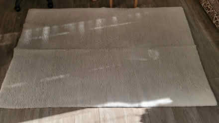 Photo of free White fuzzy carpet (Los Palmas Park) #2