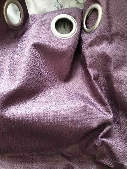 Photo of free Pair of purple curtains (TN37 Hastings) #1