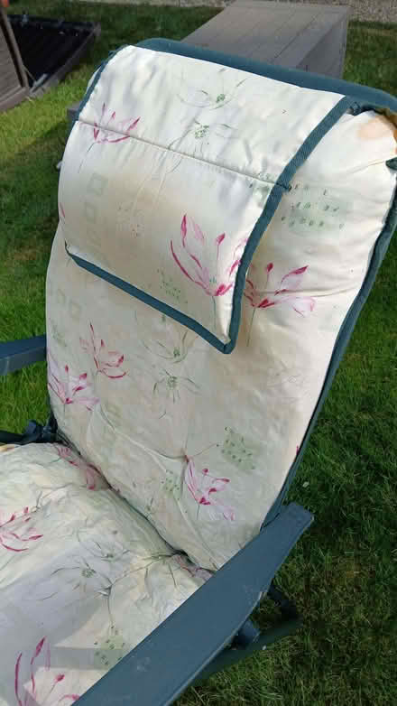 Photo of free Reclining Garden Chair (Bowerhill SN12) #3