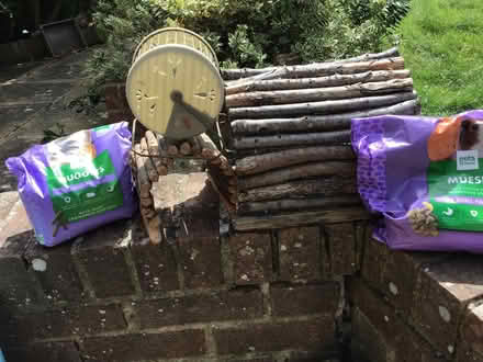 Photo of free Guinea pig supplies (Shoreham-by-Sea BN43) #1