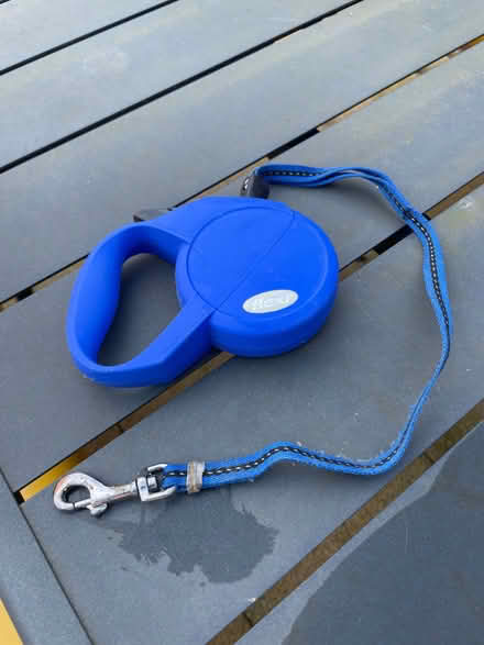 Photo of free Five metre flexi-lead (Kings Hill ME19) #1