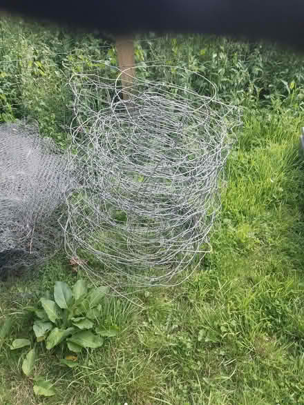 Photo of free Stock netting (Ley Hill GC HP5) #1