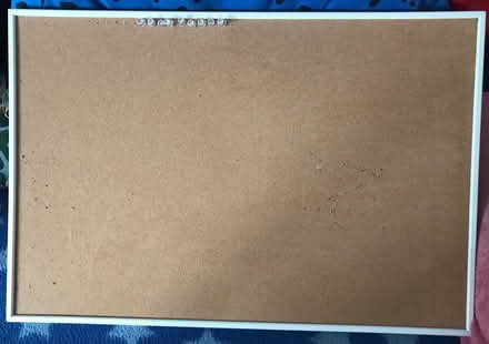 Photo of free Cork board and pins (Queen’s Rd Peckham) #1