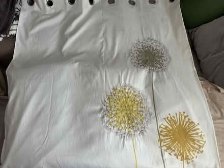 Photo of free Curtains white with yellow motive (Epping, CM16) #1