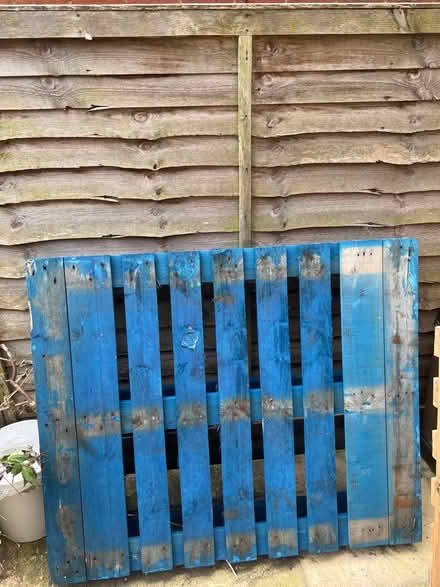 Photo of free blue wooden pallet (Royston SG8) #1