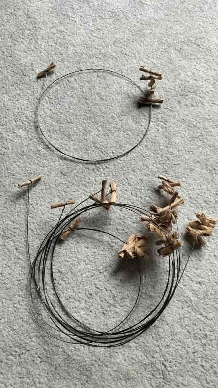 Photo of free Cat dancer toys (Kelham Island S3) #2