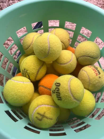 Photo of free Tennis balls (Southwest Oakville) #1