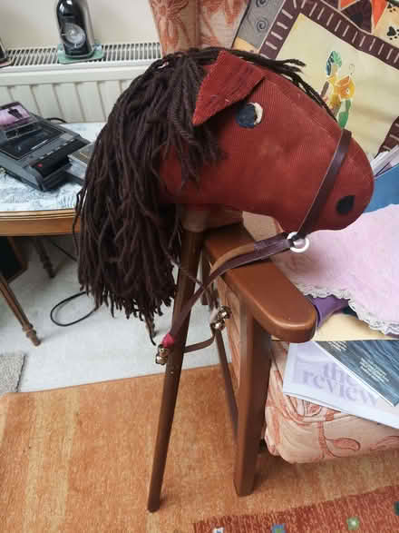 Photo of free Hobby horse (Brincliffe Edge S7) #1