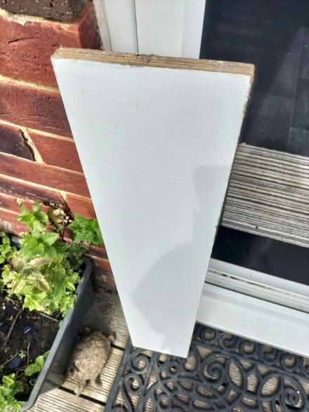 Photo of free Wood (TN37 Hastings) #1