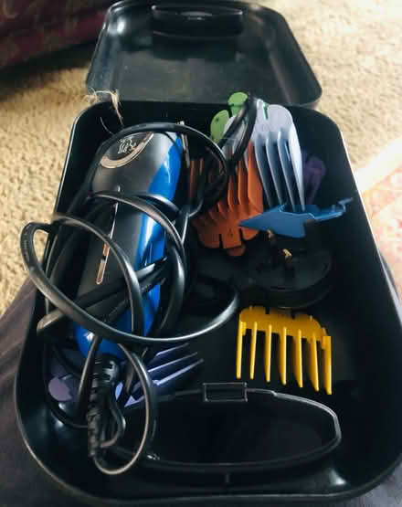 Photo of free Wahl dog grooming kit (Clayton le Woods PR6) #2