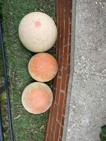 Photo of free Terracotta garden ornaments (Hanwell Fields OX16) #2