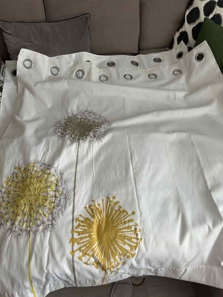 Photo of free Curtains white with yellow motive (Epping, CM16) #2