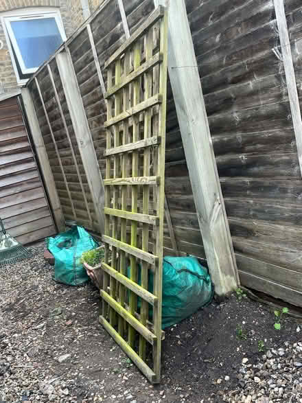 Photo of free outdoor plant pots (Hammersmith) #1