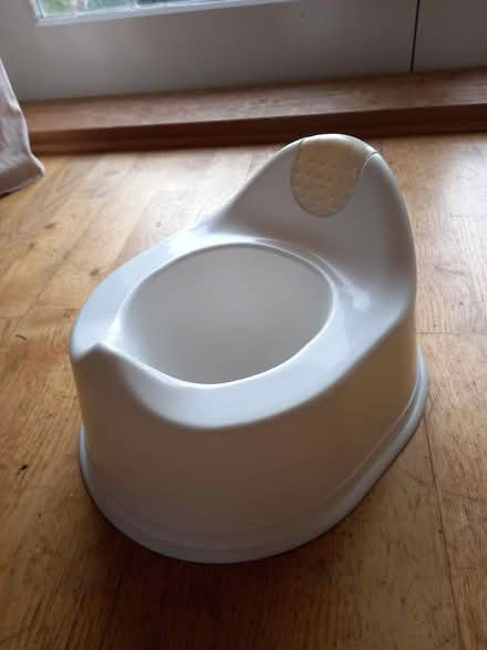 Photo of free Potty (Lower Broadheath WR2) #1