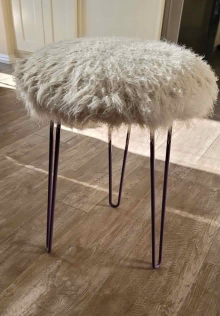 Photo of free Formerly fuzzy stool (Los Palmas Park) #1