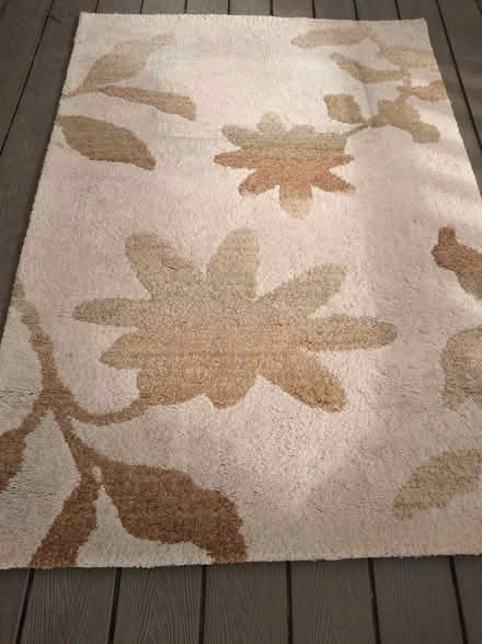 Photo of free Rug (Newent GL18) #1