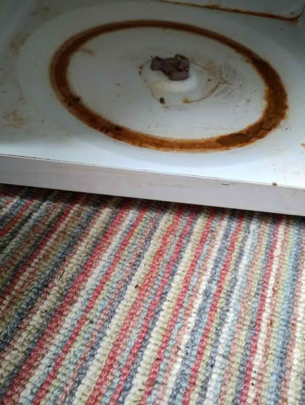 Photo of free Microwave (Chard) #2