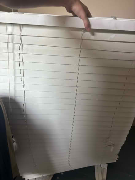 Photo of free White Venetian blinds (SE15) #1
